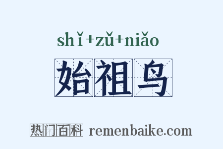 始祖鸟是什么意思的图片
